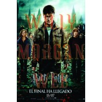 Harry Potter 9